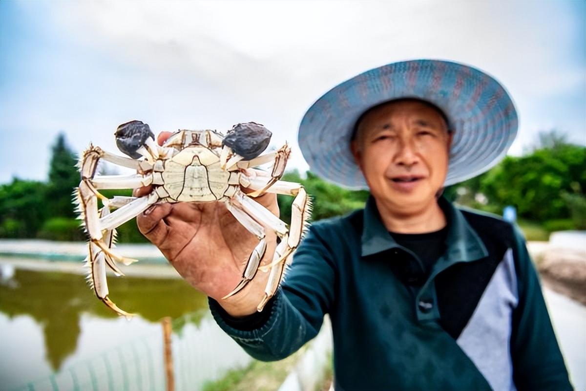 龙沙区农业农村局领导团队最新概况