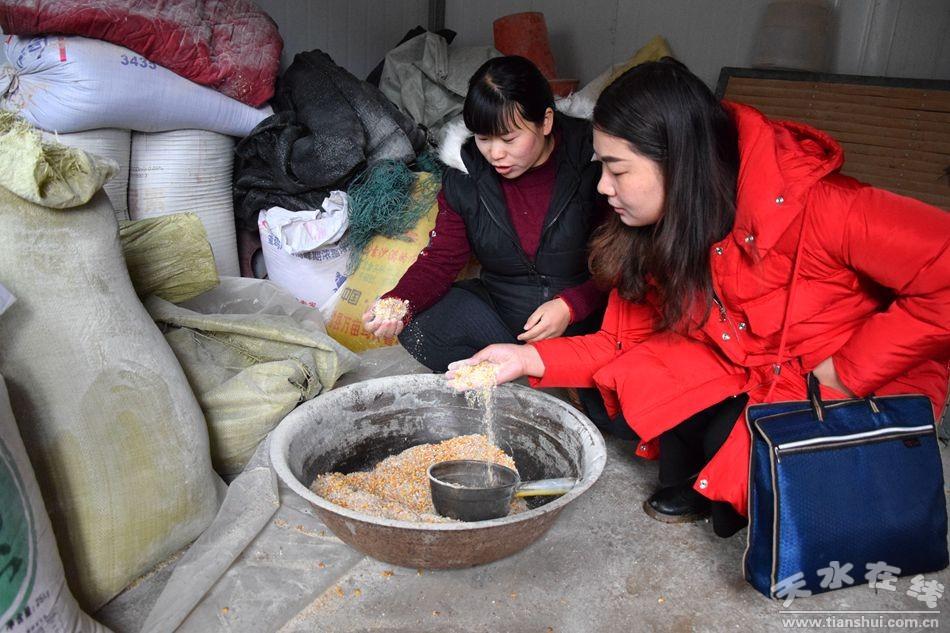 小南峪村委会启动新项目，振兴乡村共筑美好未来