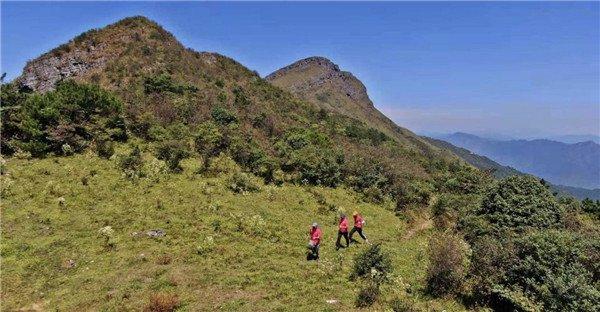 桂东县文化广电体育和旅游局最新动态报道