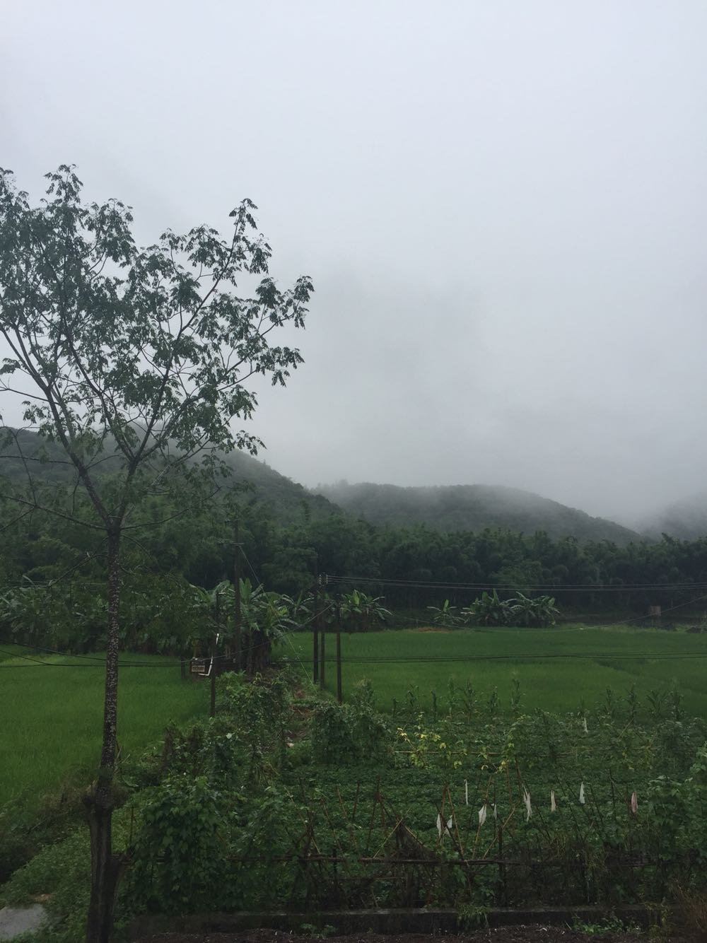 通尼村今日天气预报