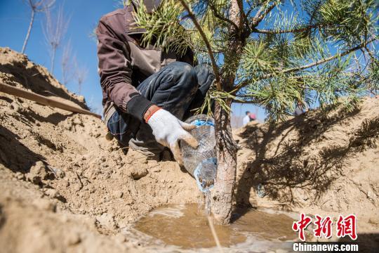 才纳乡交通新动态，迈向更便捷的未来