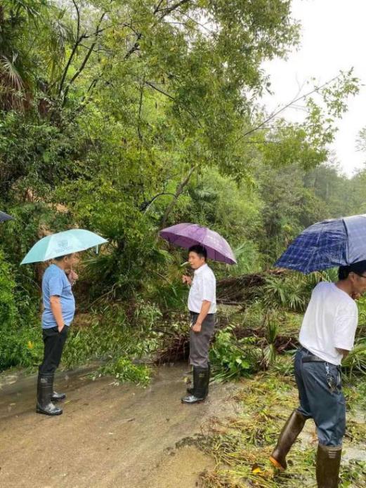 城固县应急管理局最新项目，构建现代化应急管理体系总览