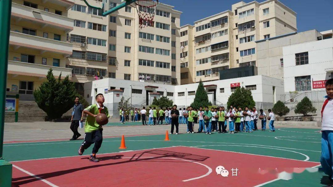 甘谷县小学创新项目，引领教育变革，塑造未来领袖之星