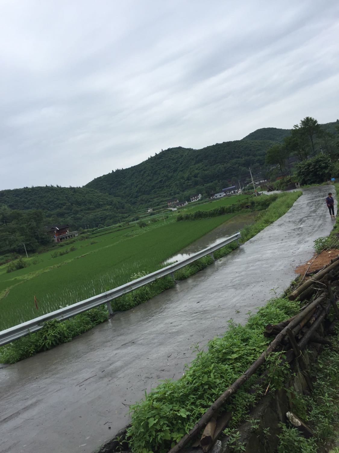 马厂村与四排山乡-老寨村天气预报更新综述