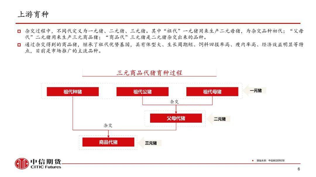 黄大仙免费资料大全最新,数据分析精准更新_Premium95.711