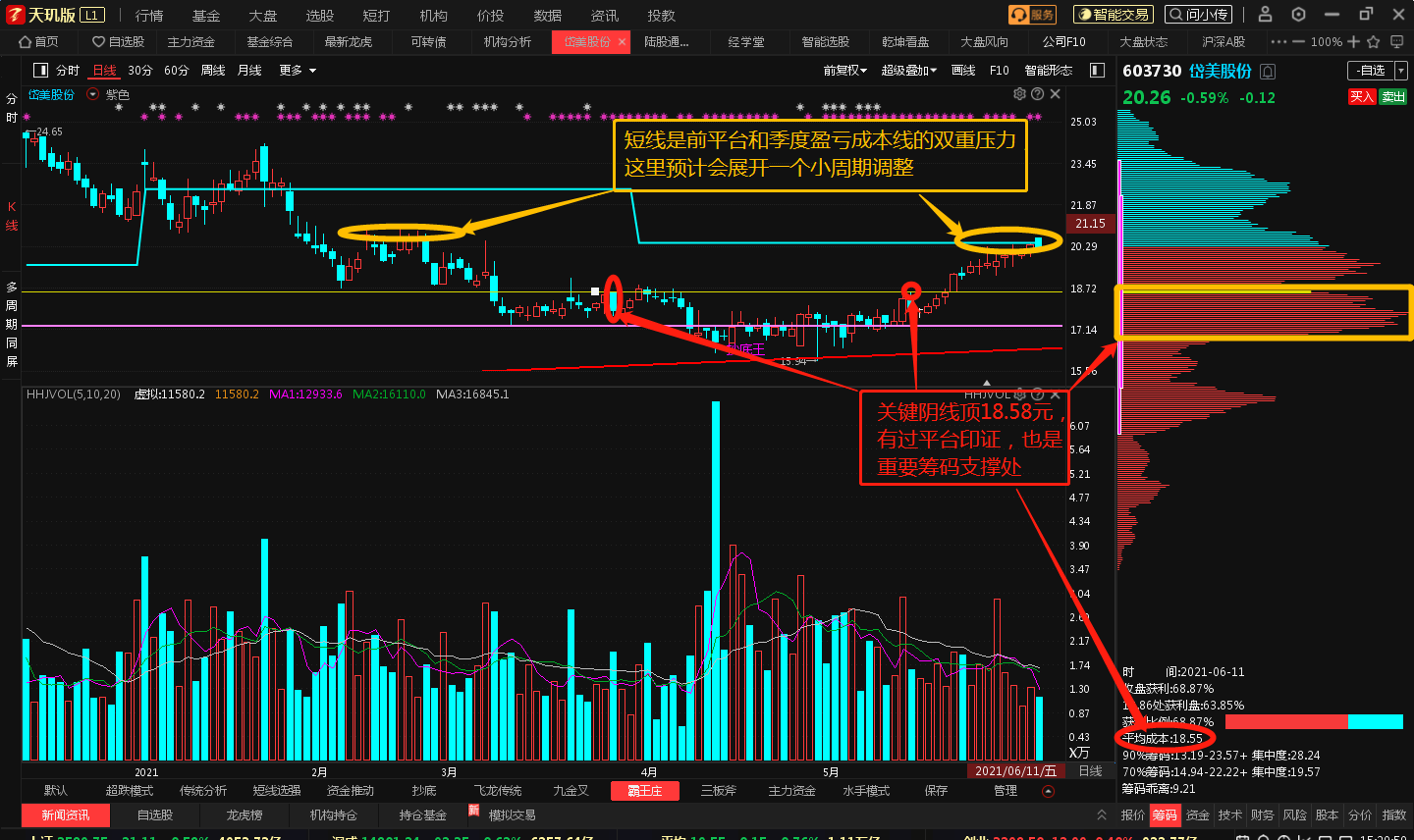 一肖中特资料公开选股,权威精准趋势分析_MR62.969